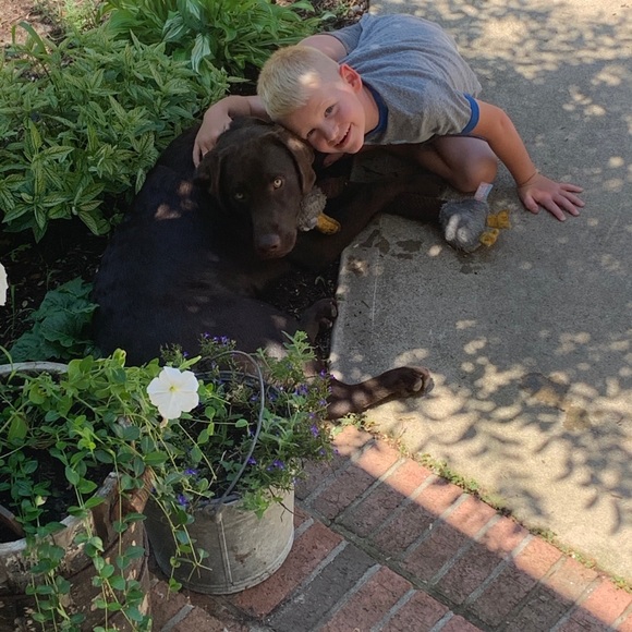 Dave Freese - Picture 10 of 16